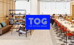 TOG Logo Image